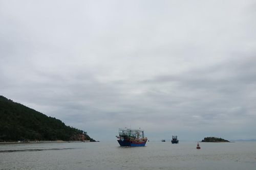 Nghệ An: Bỏ lệnh cấm biển, tàu thuyền được phép ra khơi khai thác