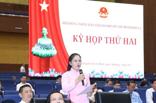 Cử tri TP. Hồ Chí Minh kiến nghị nhiều vấn đề liên quan đến đời sống dân sinh