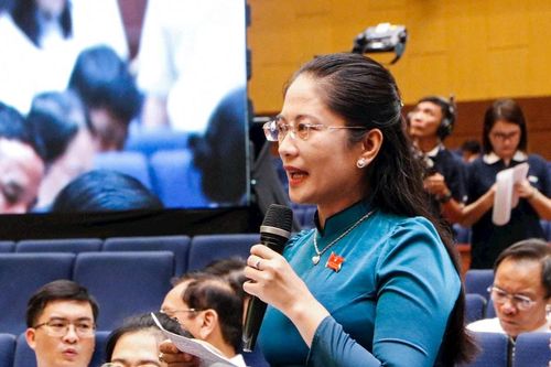 Đại biểu HĐND TP. Hồ Chí Minh kiến nghị cần có đội quản lý trật tự đô thị phường, xã