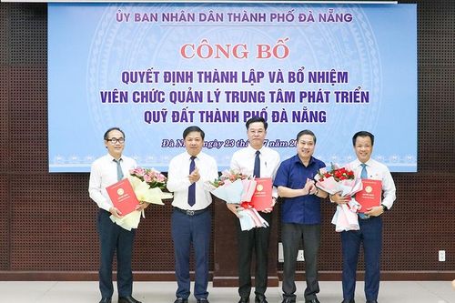 Đà Nẵng: Thành lập Trung tâm Phát triển quỹ đất