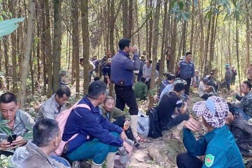 Tìm thấy thi thể người đàn ông đi rừng mất tích cách đây hơn 2 tháng