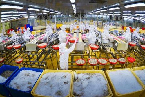 Cải cách thể chế doanh nghiệp: Tạo lập môi trường minh bạch, hiệu quả