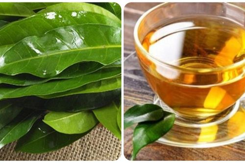 Uống nước vối có tốt cho gan, thận?