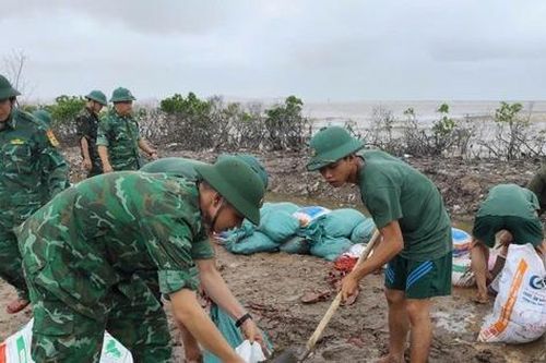 Hải Phòng: Chuẩn bị phòng, chống bão số 3 tốt nên thiệt hại giảm thiểu