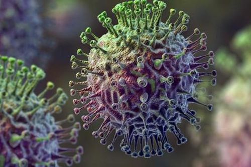 Đắk Lắk ghi nhận ổ dịch cúm A/H5N1 gia cầm, cảnh giác triệu chứng cúm A/H5N1 ở người
