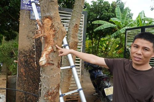 Vụ lật xe khách 10 người tử vong: 'Anh ơi, cứu vợ em với'