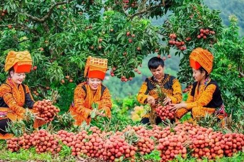 Nông sản Việt Nam trên kệ hàng quốc tế