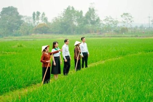 Cần một hành lang pháp lý rõ ràng để bảo hiểm tiếp cận nông dân
