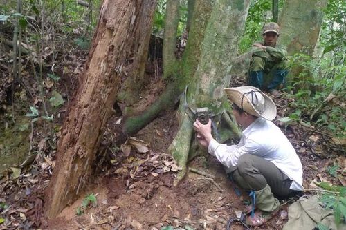 34 cộng đồng dân cư ở Nghệ An hưởng lợi từ nguồn thu từ giảm phát thải khí nhà kính của Vườn quốc gia Pù Mát