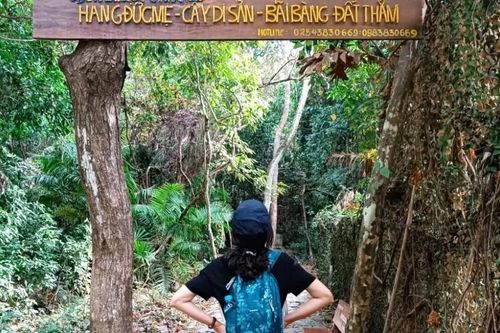 Chinh phục rừng già Côn Đảo, đắm mình trong vẻ đẹp thuần khiết của Đất Thắm
