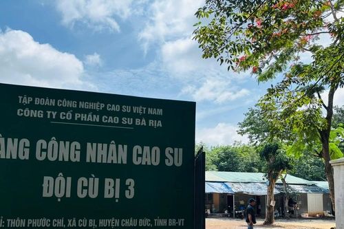 BÀI 5: Làng công nhân bên rừng cao su ở TP.HCM – Giấc mơ từ vùng cao