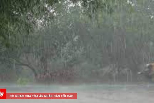 Hà Nội cảnh báo mưa dông mạnh, trong khi bão số 4 không vào Biển Đông