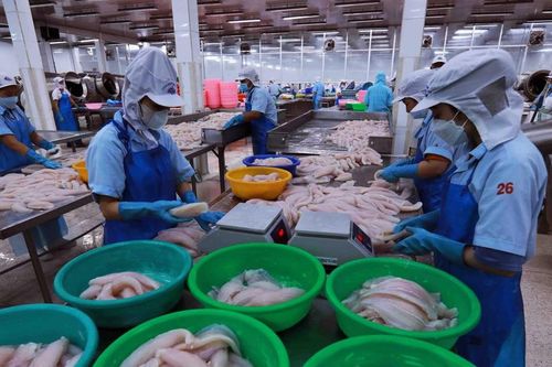 Việt Nam vươn lên vị trí đối tác xuất khẩu thủy sản lớn thứ 3 vào Singapore
