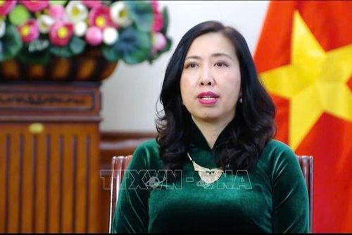 Việt Nam hoan nghênh các doanh nghiệp quốc tế có năng lực, kinh nghiệm đến đầu tư lâu dài, ổn định