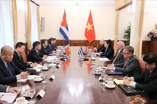 Tham khảo chính trị lần thứ VIII giữa Bộ Ngoại giao Việt Nam và Bộ Ngoại giao Cuba