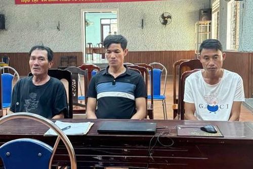 Truy vết xuyên tỉnh, bắt 'nóng' nhóm đối tượng trộm cây cảnh giá trị cao ở Huế
