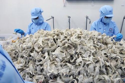 Những 'trụ cột' để kinh tế Khánh Hòa tăng trưởng