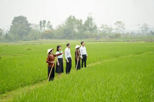 Bảo hiểm - 'Tấm lá chắn' thiết yếu trong chiến lược thích ứng với biến đổi khí hậu - Bài 1: 'Tấm khiên' tài chính bảo vệ nông dân