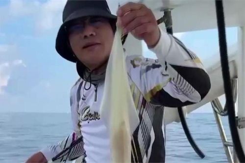 Ăn hải sản suốt 30 năm, người đàn ông 64 tuổi bị tổn thương thận mà không hề hay biết