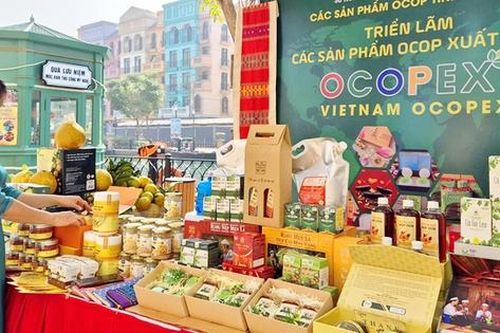 Đưa nông sản miền núi, vùng sâu, vùng xa và hải đảo về phố