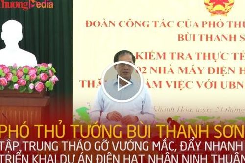 Tập trung tháo gỡ vướng mắc, đẩy nhanh triển khai dự án điện hạt nhân Ninh Thuận