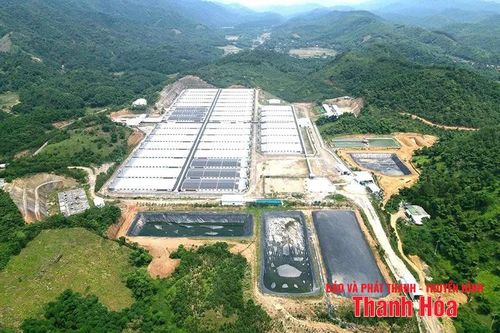 Vẫn 'nóng' ô nhiễm môi trường từ các trang trại chăn nuôi