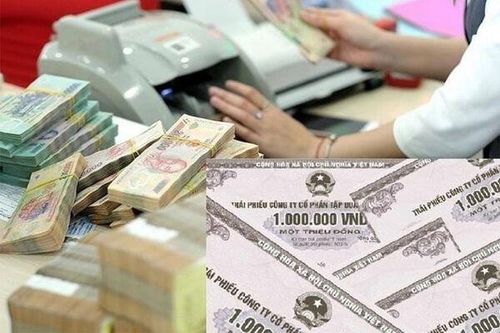 Công ty Cổ phần Bông Sen không thể thanh toán trái phiếu do 'tài khoản bị phong tỏa', HDBank 'không có khoản thanh toán chậm'