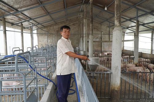 Thương binh trong thời bình