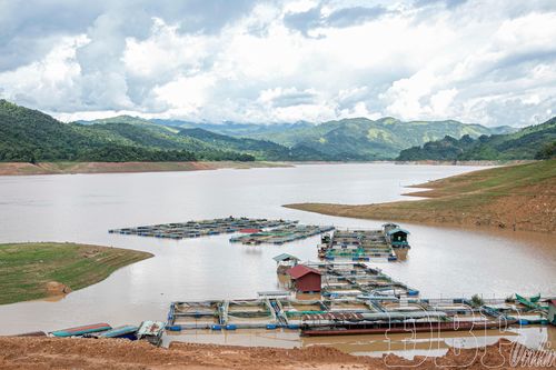 Chạy đua thi công mùa nước rút
