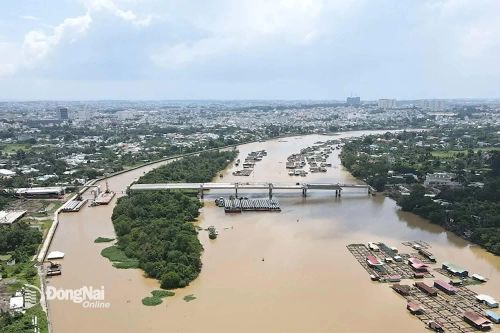 Hoàn thành lao lắp 168 dầm của 14 nhịp cầu Thống Nhất trong tháng 8-2025