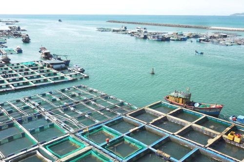 Chiếm dụng mặt nước đầm Đề Gi nuôi thủy sản