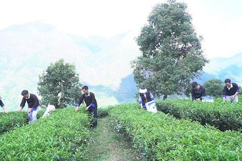 Ngày mới ở bản Mông