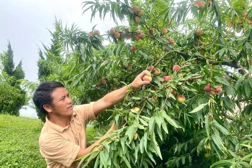 Mạnh dạn thay đổi tư duy sản xuất