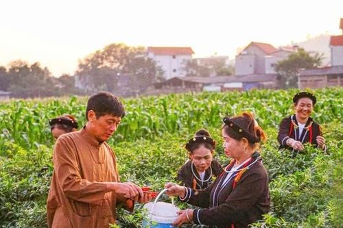 Khởi sắc kinh tế - xã hội ở Đạo Trù