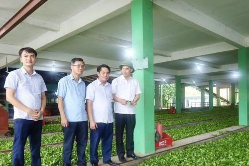 Đoàn kết, sáng tạo; đẩy mạnh thực hiện chuyển đổi số; huy động và sử dụng hiệu quả các nguồn lực, xây dựng xã Minh Hòa phát triển bền vững