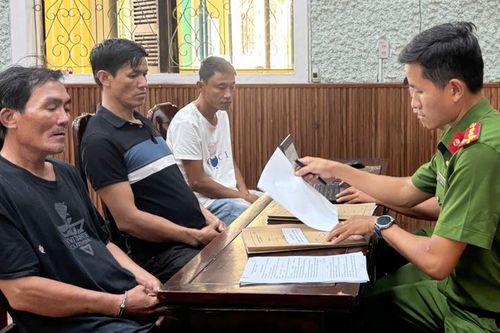 Bắt giữ nhóm trộm mai cảnh