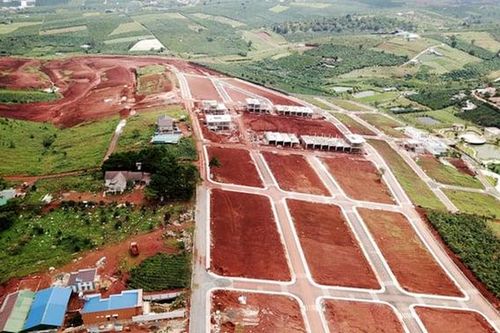 Lâm Đồng chấn chỉnh hoạt động môi giới đất đai, ngăn ngừa 'sốt ảo' giá đất