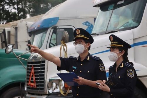Hải quan công khai đường dây nóng nhận tin báo về tội phạm, buôn lậu, phiền hà sách nhiễu