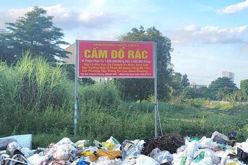 TP. Hồ Chí Minh: Giám sát, xử lý vi phạm lĩnh vực môi trường từ camera nhà dân