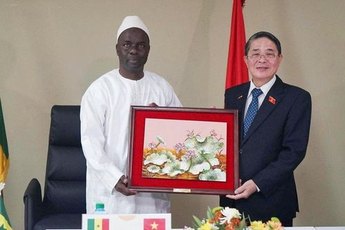 Tăng cường hợp tác giữa Kiểm toán nhà nước và Tòa Thẩm kế Senegal