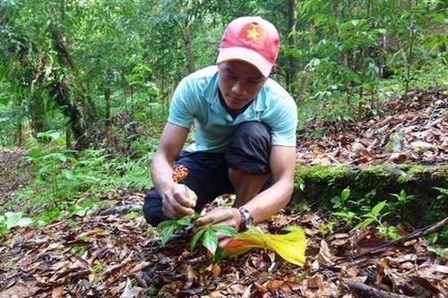 'Trao cần câu' tạo sinh kế bền vững cho người dân Sông Kôn sau sáp nhập