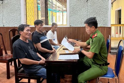 Nhóm trộm cắp cây mai cảnh đắt tiền sa lưới