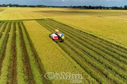 Xã Vĩnh Thanh: Cơ giới hóa toàn diện nông nghiệp