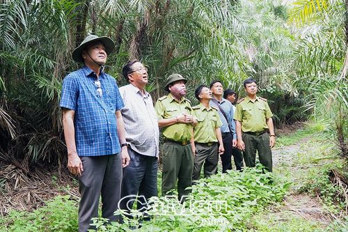 Không chủ quan, mất cảnh giác với công tác bảo vệ rừng