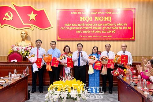 Thành lập 12 tổ chức cơ sở Đảng trực thuộc Đảng ủy Khối các cơ quan Đảng cấp tỉnh