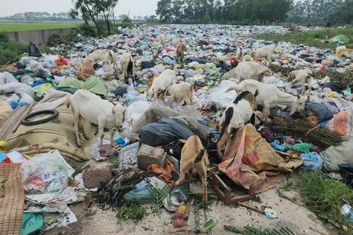 Rác thải phơi nắng, chờ ngày xử lý, đe dọa sức khỏe người dân tại một số xã, phường ở Ninh Bình
