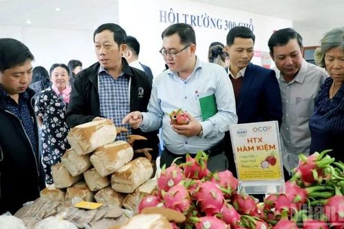 Hơn 100 cơ sở sản xuất tại Lâm Đồng cung cấp nông sản thị trường Thành phố Hồ Chí Minh