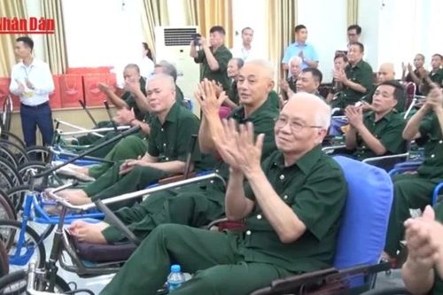 Ban hành Quy chế hoạt động của Ban Chỉ đạo Trung ương về cải cách lương, ưu đãi người có công
