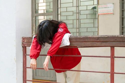 Sinh viên IT trước 'cơn bão' AI – làm chủ công nghệ hay trở thành 'người thừa'?