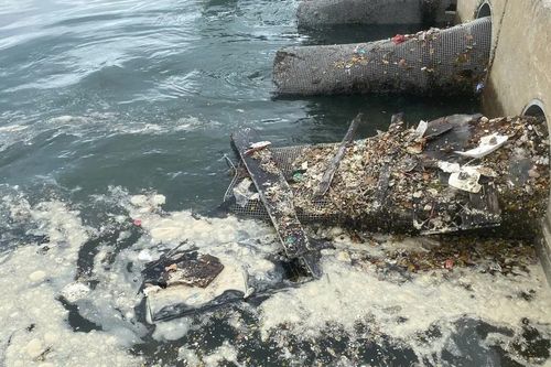 Dòng nước thải đen ngòm chảy ra biển Đà Nẵng sau mưa